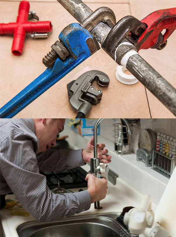 Assainissement et services professionnels